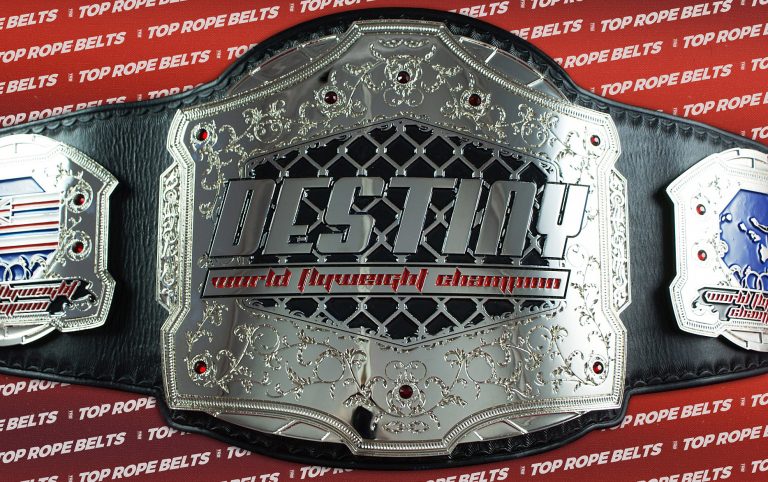 Destiny MMA Belt