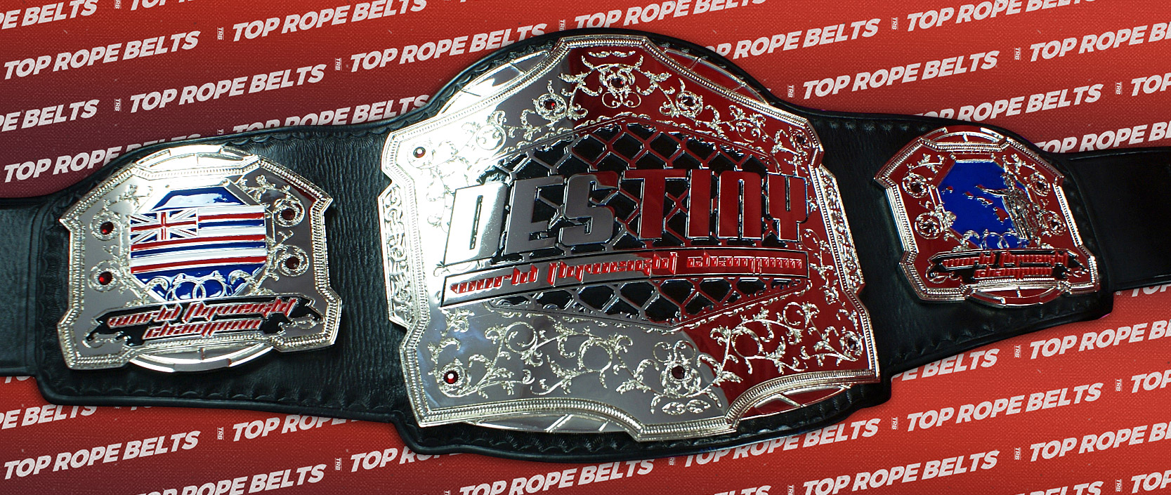 Destiny MMA Belt Top Rope Belts