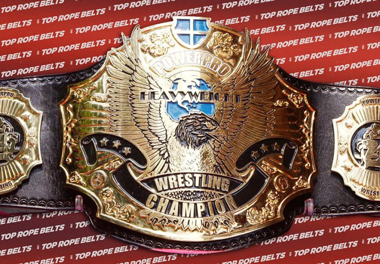 POWER PRO HEAVYWEIGHT TITLE