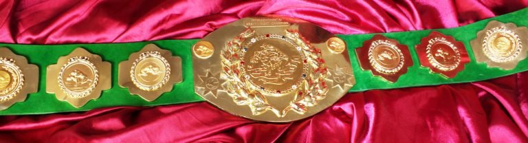Tito Style Intercontinental Title