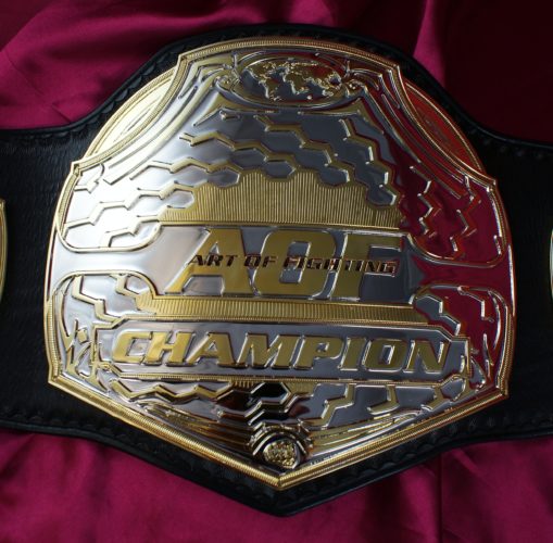 Art Of Fighting MMA Championship Belt | Top Rope Belts