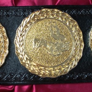 YWGP Yamaguchi Wrestling Grand Prix Tag Team Titles | Top Rope Belts