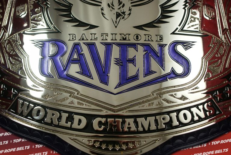 Baltimore Ravens- SuperBowl Champions