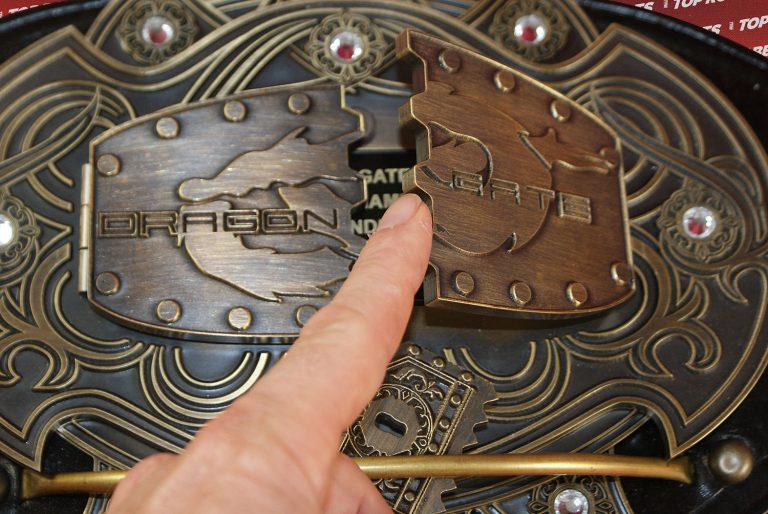 Dragon Gate Pro Wrestling Belt