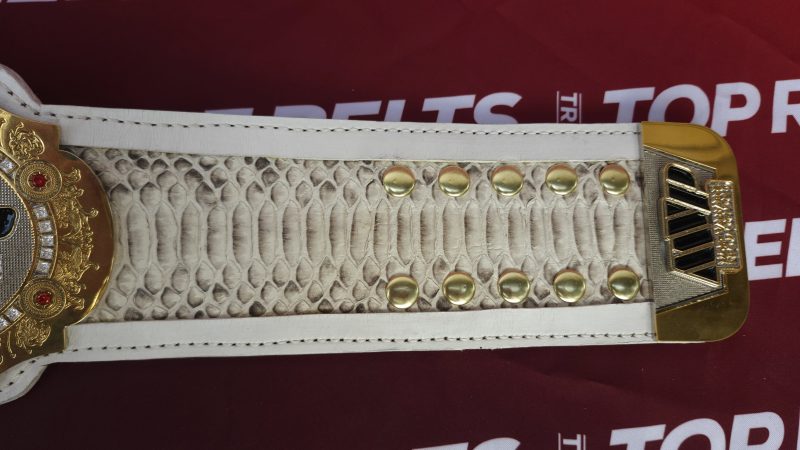 MVP-Paul-vs-Tyson Close-up of ornate championship belt strap