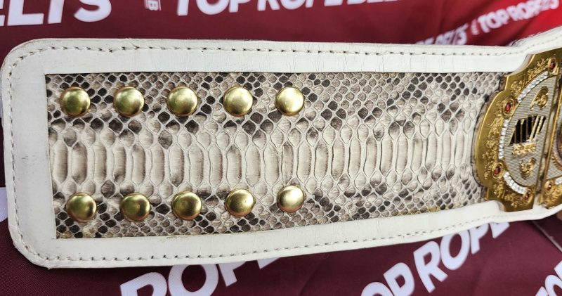Close-up of the white python snakeskin strap inlay with brass dome studs